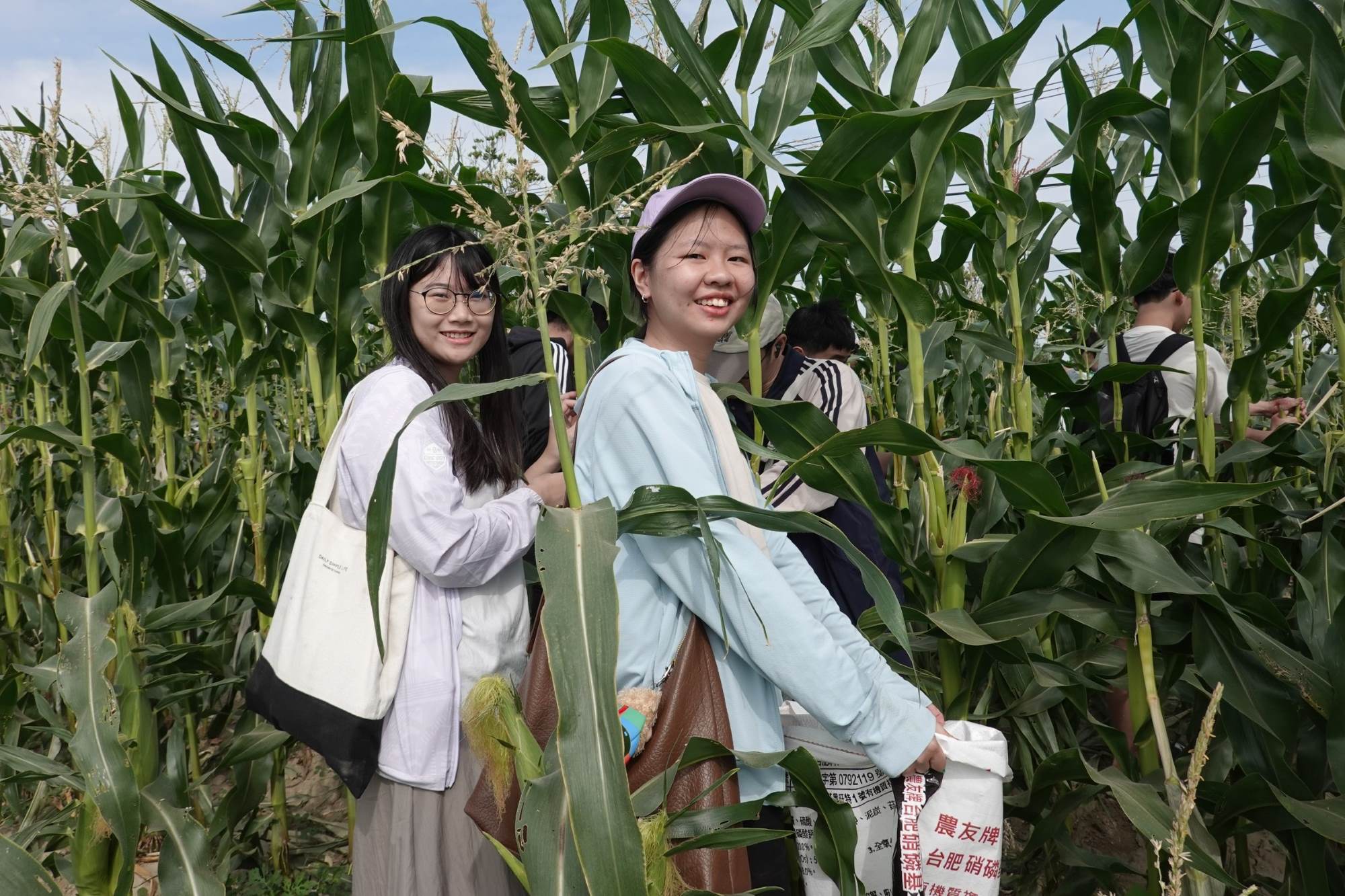 Faculty and students from the Department of Business and Management visit agricultural fields in Xuejia to learn about crop reuse and sustainable management