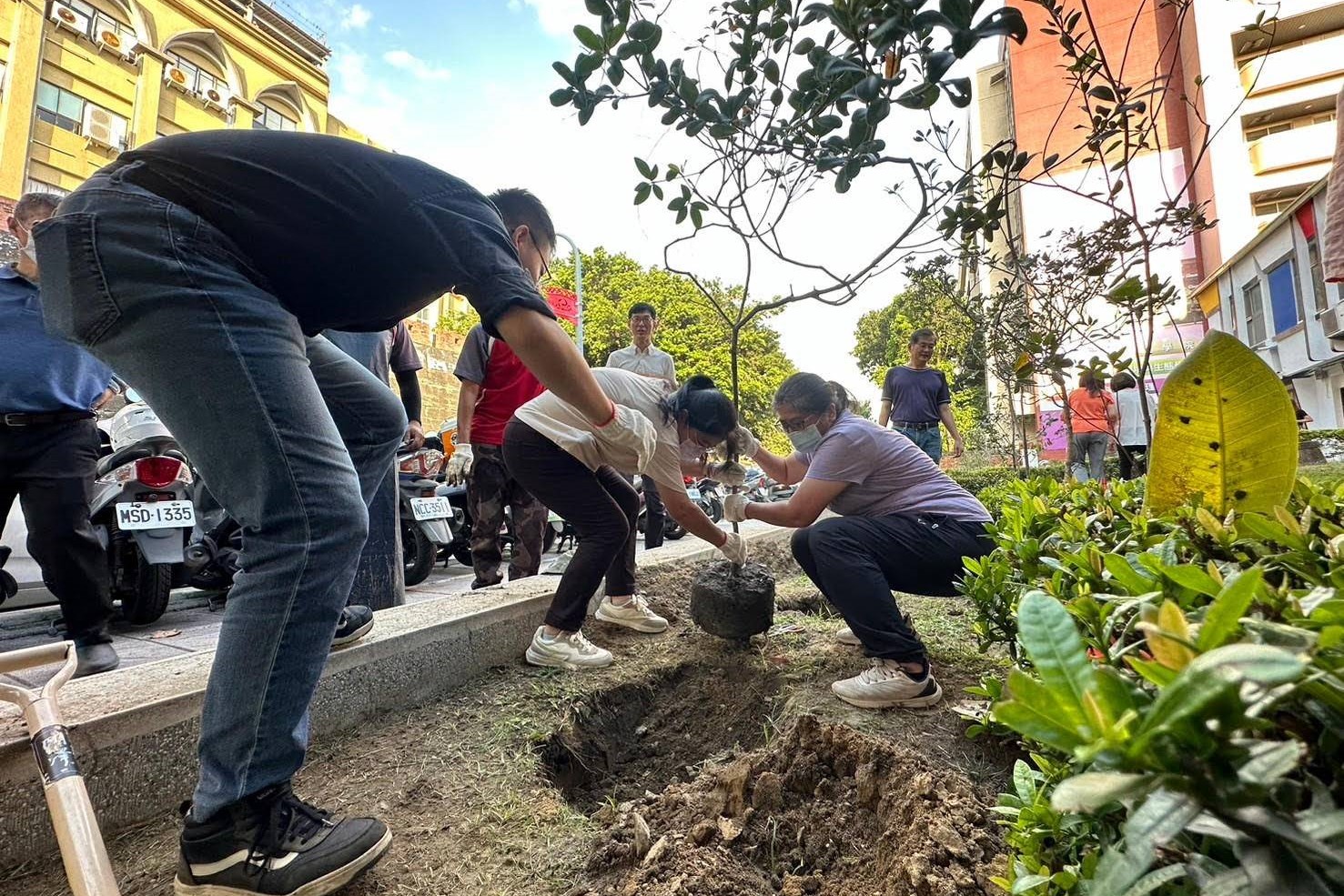 府城校區樹林街與慶中街交界綠籬改造基地，以臺灣原生植物打造之校園綠籬
