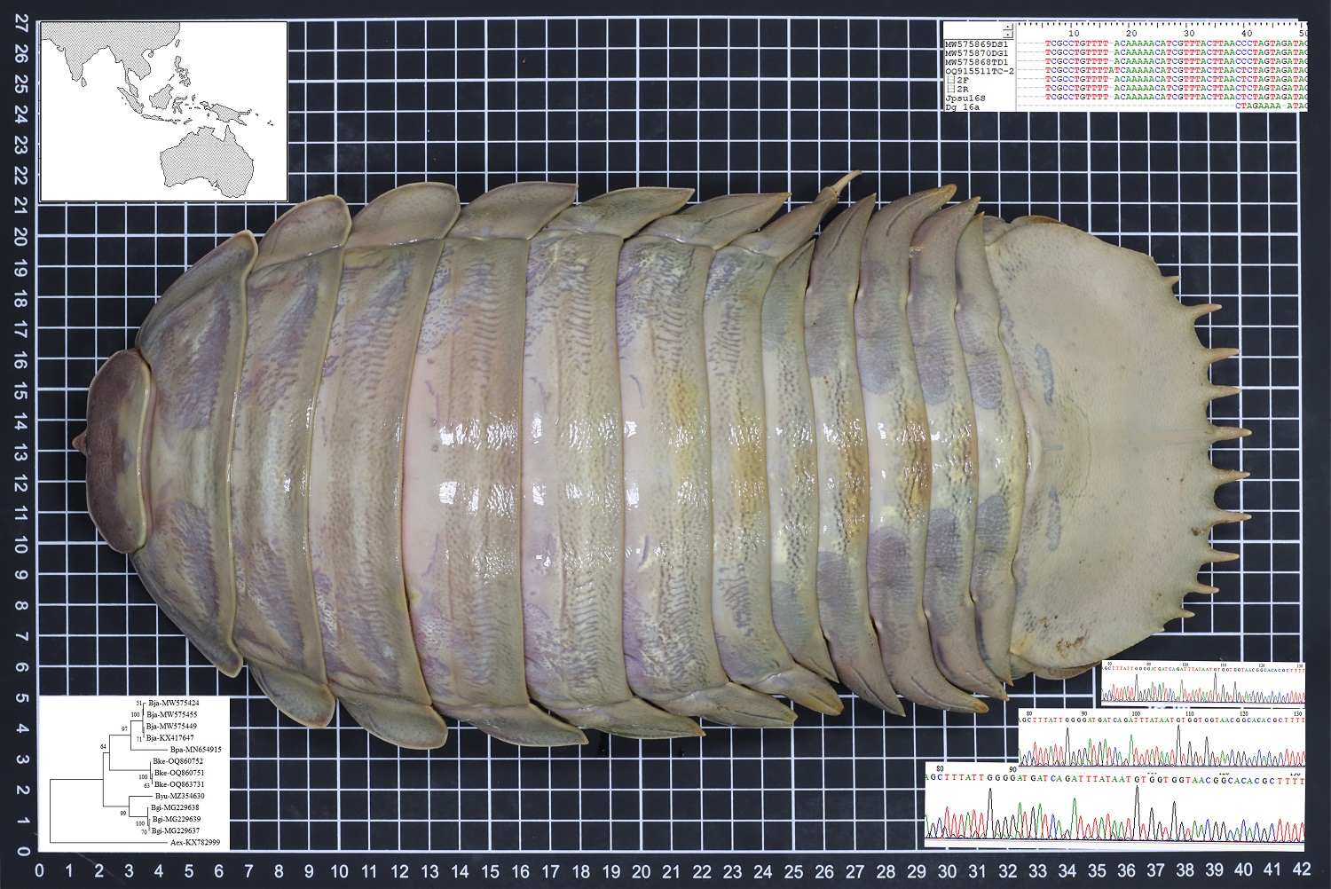 研究案例4-生科系跨國合作研究.jpg