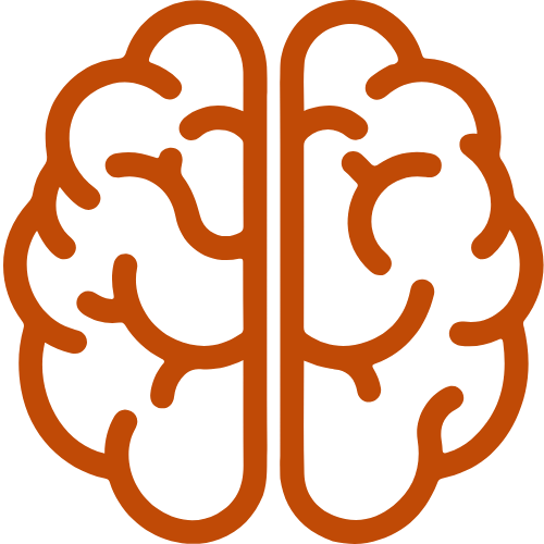 brain icon