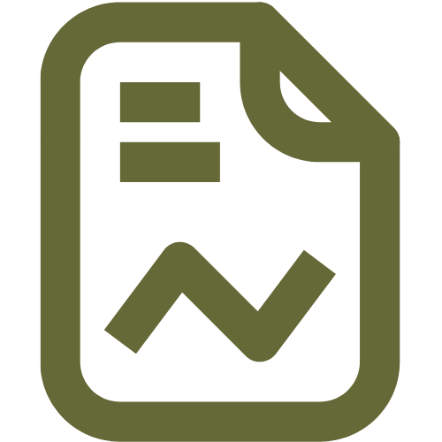 report icon.png